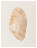 Donax II