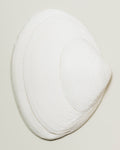 "Fine art print of a white shell on grey backgroundl, limited edition photograph on archival Hahnemuhle Baryta paper, by Fern Alia"